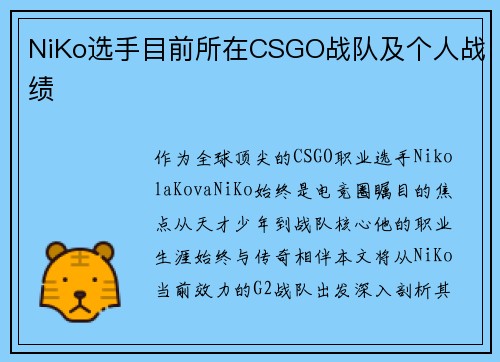NiKo选手目前所在CSGO战队及个人战绩